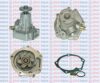AQUAPLUS 85-2145 Water Pump